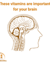 These vitamins are important for your brain.