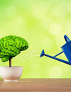 More tools to keep your nervous system and memory function well.