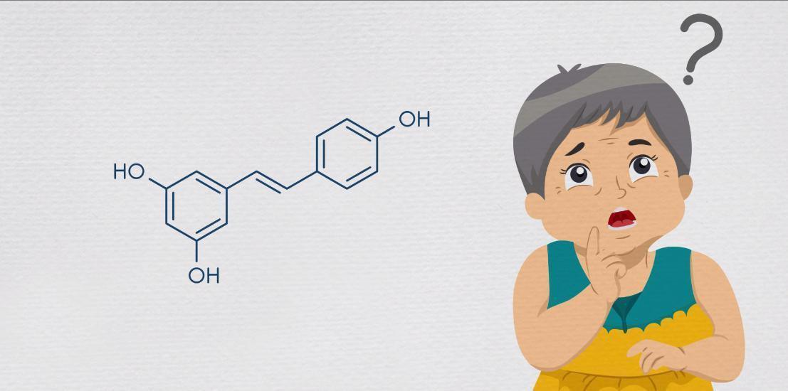 Improve Your Memory By Improving Brain Circulation