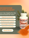 Can Berberine Be Helpful for the Gastrointestinal Tract?