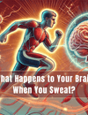 Lactate and BDNF: The Secret Sauce Behind Exercise and Brain Power