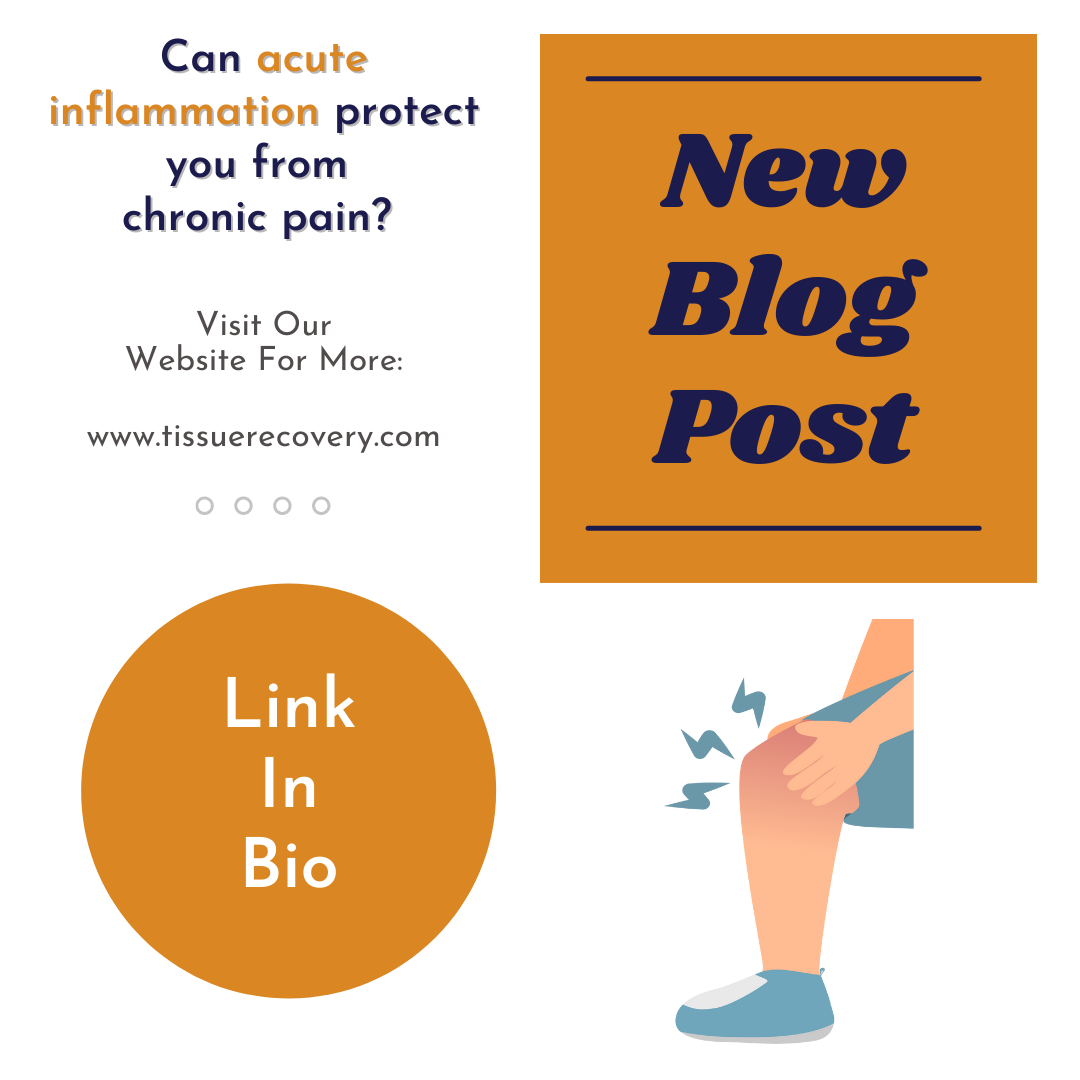 Can acute inflammation protect you from chronic pain?