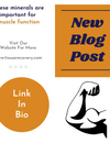 These minerals are important for muscle function.