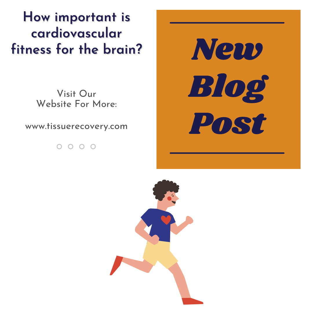 How important is cardiovascular fitness for the brain?