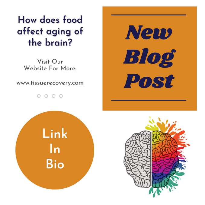 How does food affect aging of the brain?