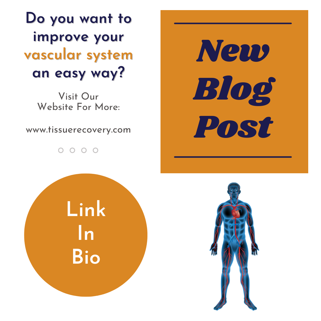 Do you want to improve your vascular system an easy way?