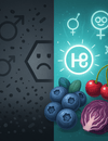 Can Fruits Help Protect Your Fertility from Plastic Pollution?