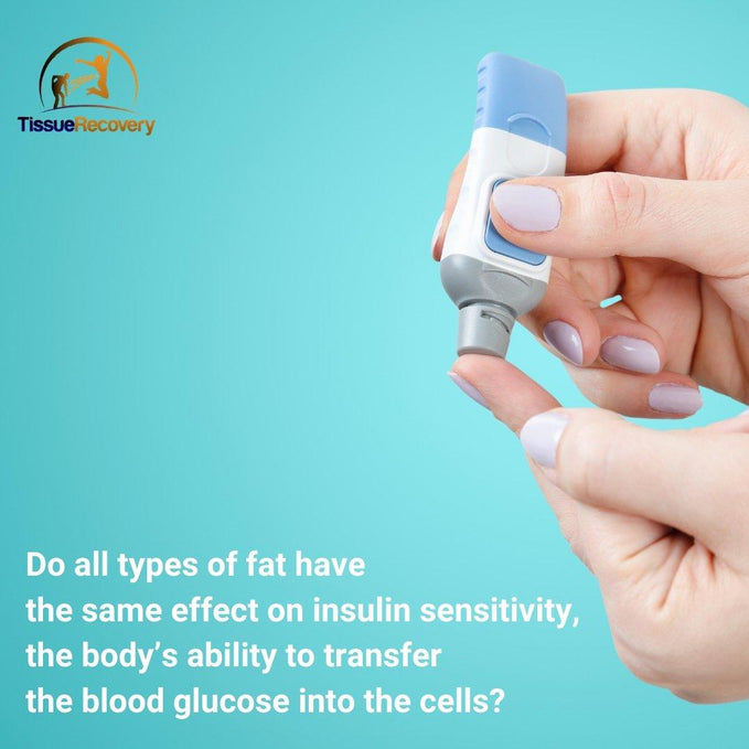 Do all types of fat have the same effect on insulin sensitivity, the body’s ability to transfer the blood glucose into the cells?