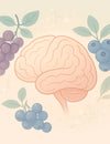 Want to Boost Memory After 60? Grape & Blueberry Extract Might Be the Secret