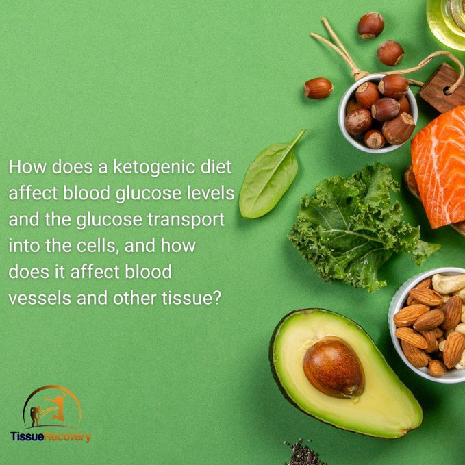 How does a ketogenic diet affect blood glucose levels and the glucose transport into the cells, and how does it affect blood vessels and other tissue?
