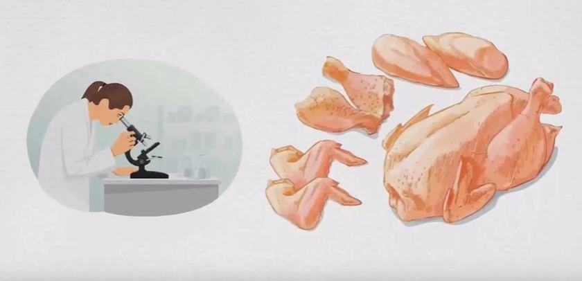 How Healthy Is Bone Broth?