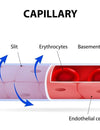 How to improve endothelial function?