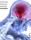 Important part of memory is affected by inflammation.