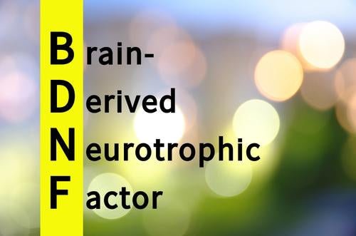 Low brain derived neurotrophic factor linked to decreased memory. This is one way to increase it.