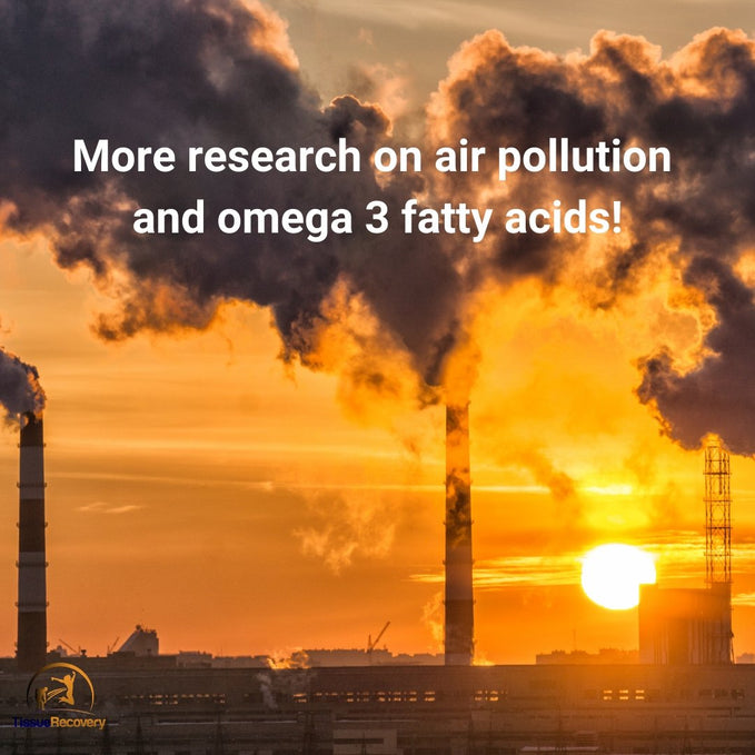 More research on air pollution and omega 3 fatty acids.