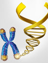 One good reason it is important to have a low omega 6 to omega 3 fatty acid ratio