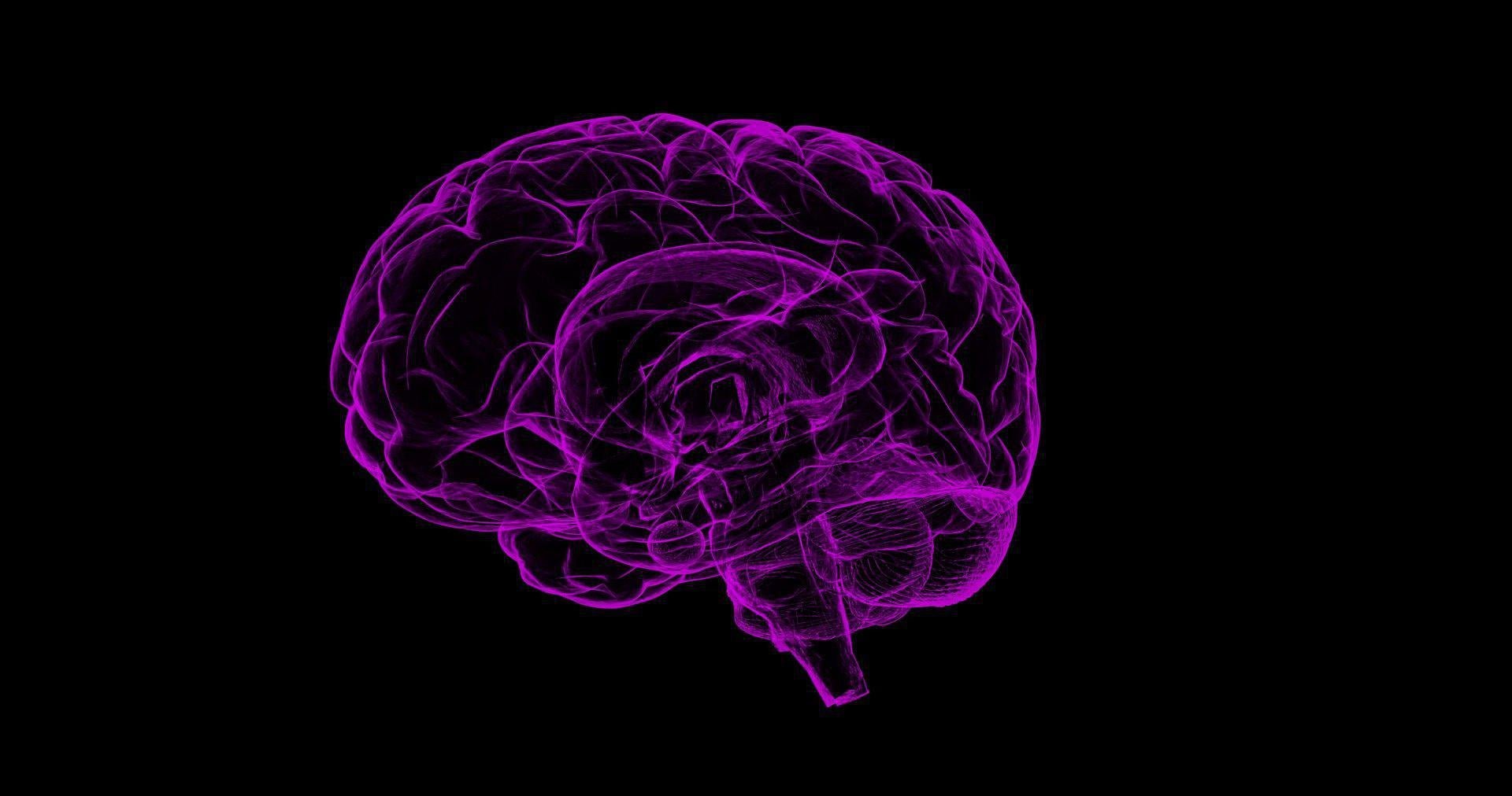Oxidative stress is involved in cognitive impairment and Alzheimer’s Disease