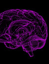 Oxidative stress is involved in cognitive impairment and Alzheimer’s Disease