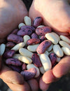 Reduce your risk of heart attacks by adding one food to your meals