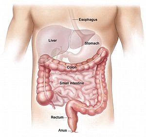 Research documenting reduced risk of colorectal cancer for these nutrients.