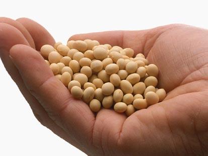Soy food and breast cancer