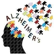 This Can Help Prevent Shrinkage Of Key Brain Areas