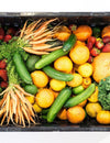 This function is involved in a variety conditions from viral diseases to heart disease, stroke and diabetes