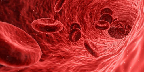 Your blood glucose level affects the health of your blood vessels.