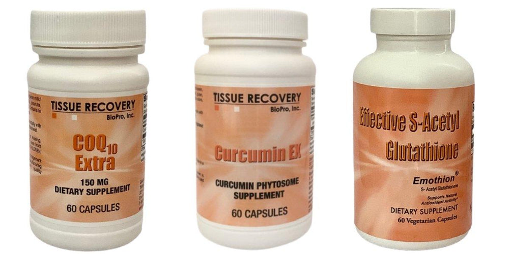 Cardiovascular System Bundle