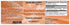 products/gastrointestinal-support-formula-tissuerecovery-2.jpg