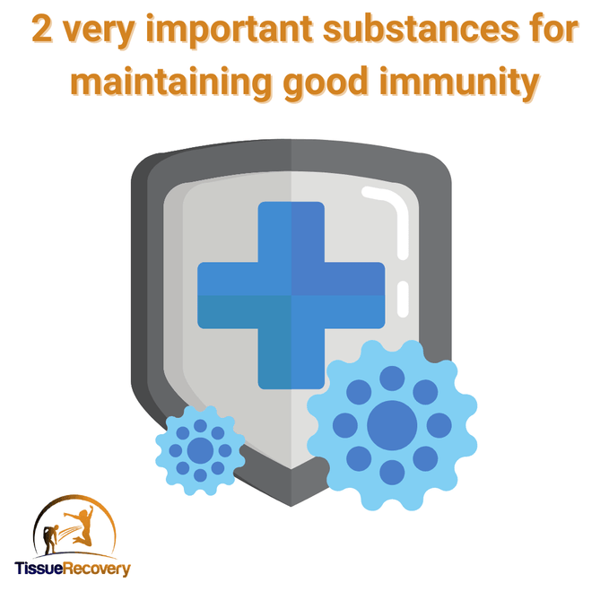 2 very important substances for maintaining good immunity.