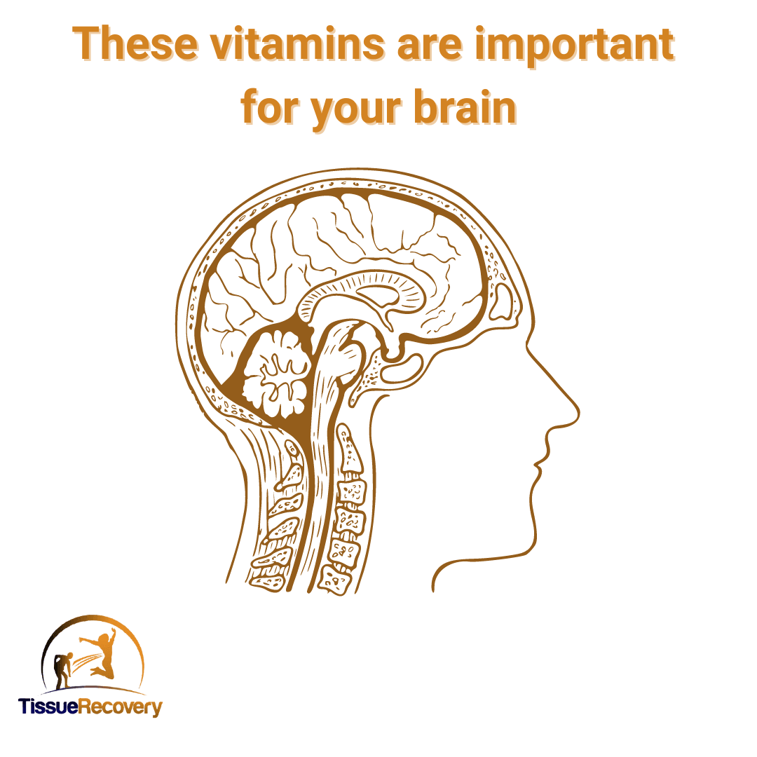 These vitamins are important for your brain.