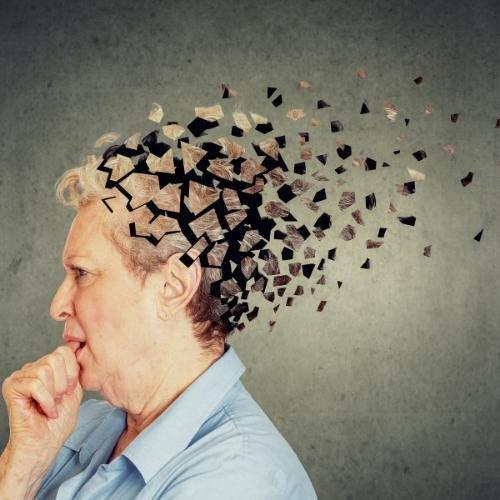 How to slow down brain atrophy and reduce the risk for dementia.