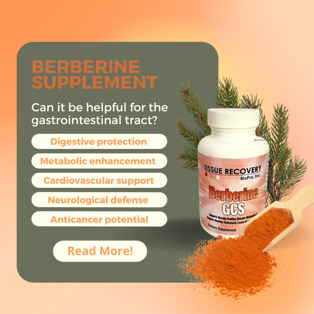 Can Berberine Be Helpful for the Gastrointestinal Tract?