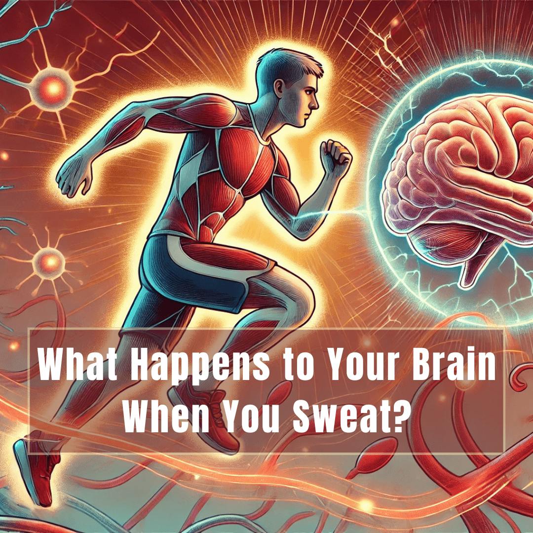 BDNF & Lactate Explained: What Exercise Does to Your Brain