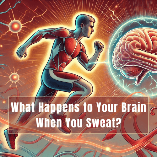Lactate and BDNF: The Secret Sauce Behind Exercise and Brain Power