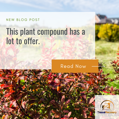This plant compound has a lot to offer.