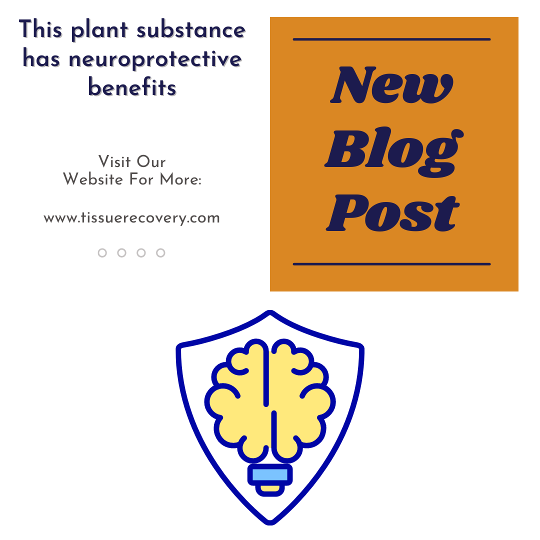 This plant substance has neuroprotective benefits.