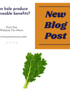 Can kale produce noticeable benefits?
