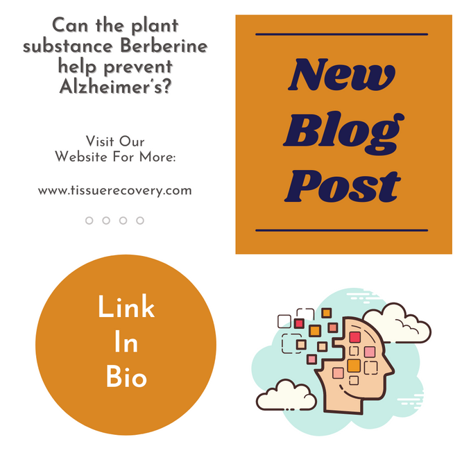 Can the plant substance Berberine help prevent Alzheimer’s?