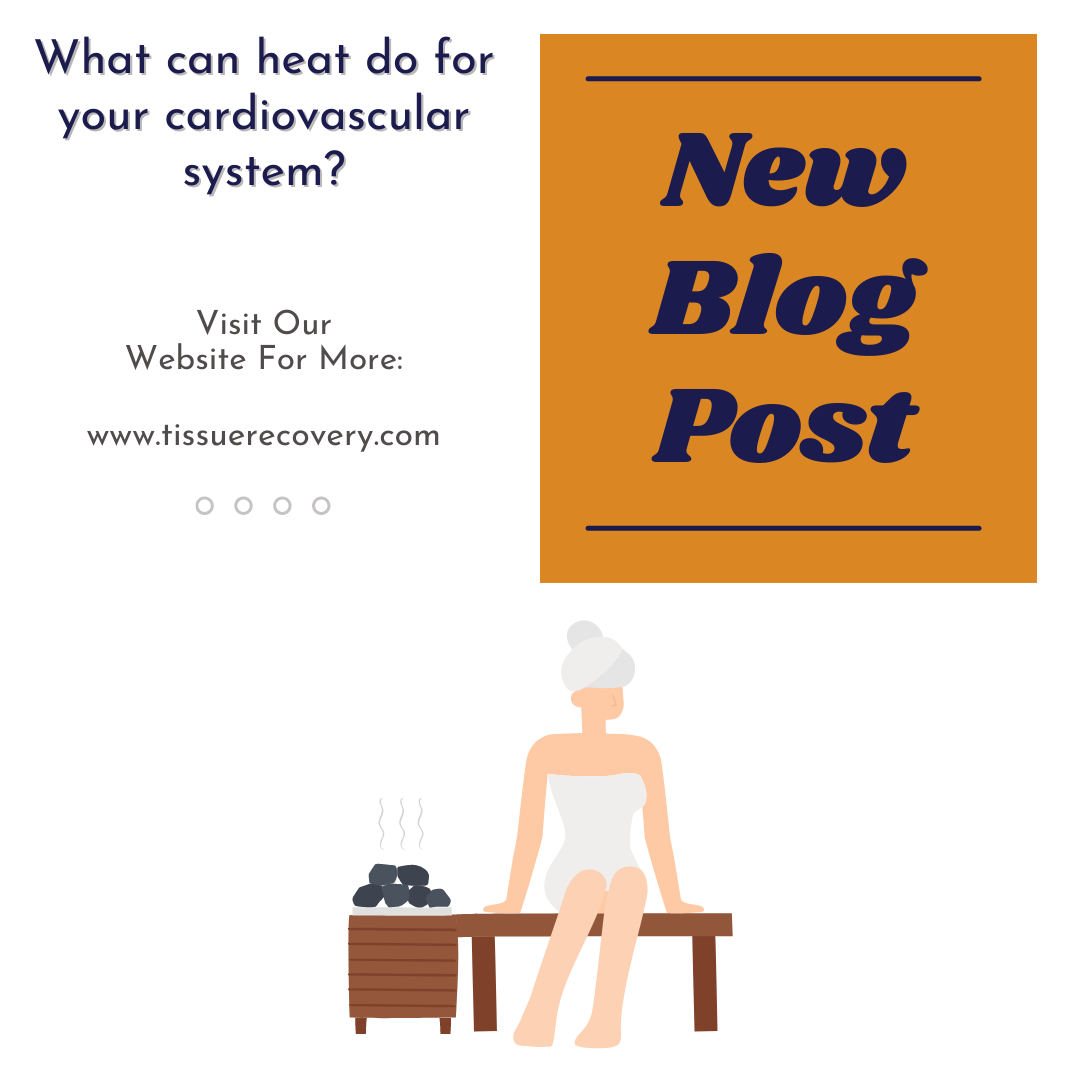 What can heat do for your cardiovascular system?