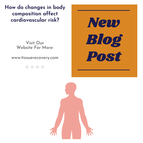 How do changes in body composition affect cardiovascular risk?