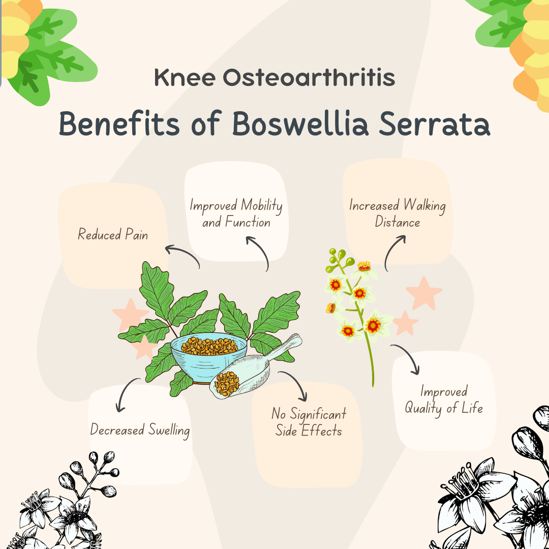 Boswellia Serrata benefits for knee osteoarthritis