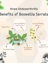 How Boswellia Serrata Supports Joint Health in Knee Osteoarthritis