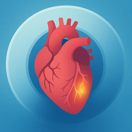 Why a “Zero Calcium Score” Doesn’t Mean Zero Heart Risk – Especially if Your LDL is  High