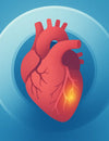 Why a “Zero Calcium Score” Doesn’t Mean Zero Heart Risk – Especially if Your LDL is  High