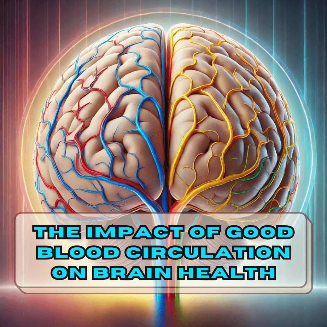 The Impact of Good Blood Circulation on Brain Health