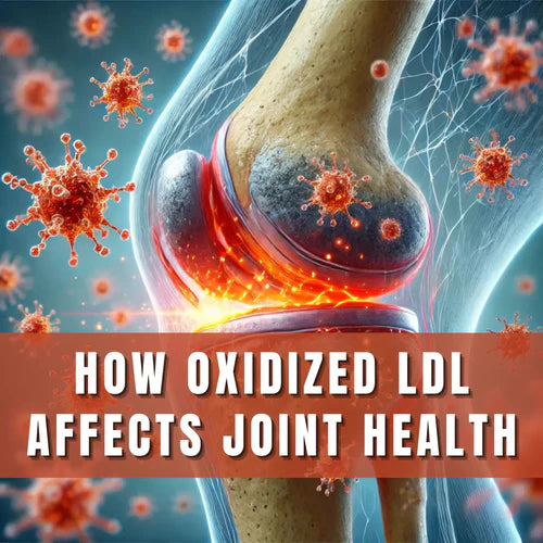 How Oxidized LDL Affects Joint Health and What It Means for Osteoarthritis