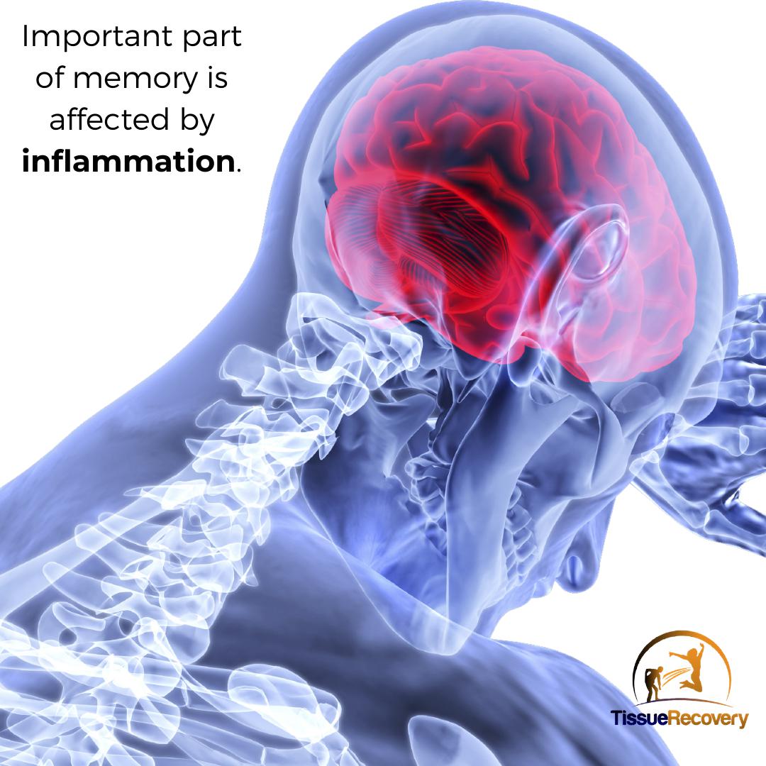 Important part of memory is affected by inflammation.