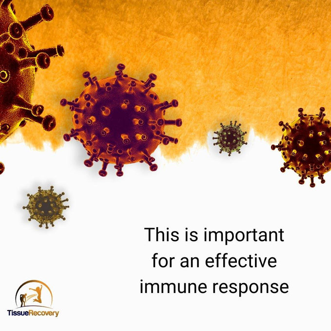 This is important for an effective immune response.